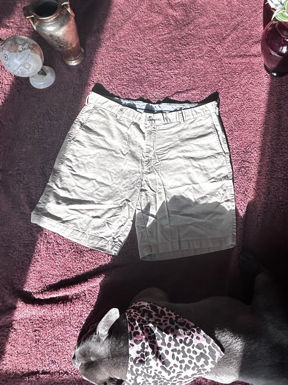Peter Millar Khaki Shorts with Light Blue Stripe Trim